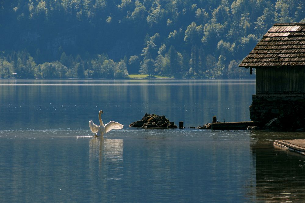 Photograph by Наталья Ростовская