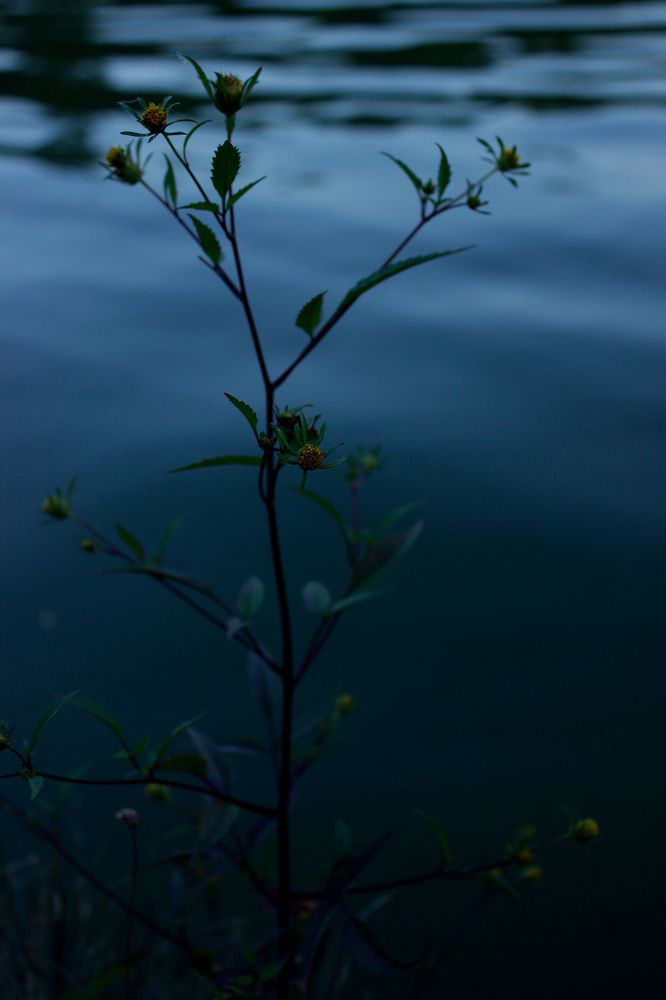 Photograph by Екатерина Дёмина