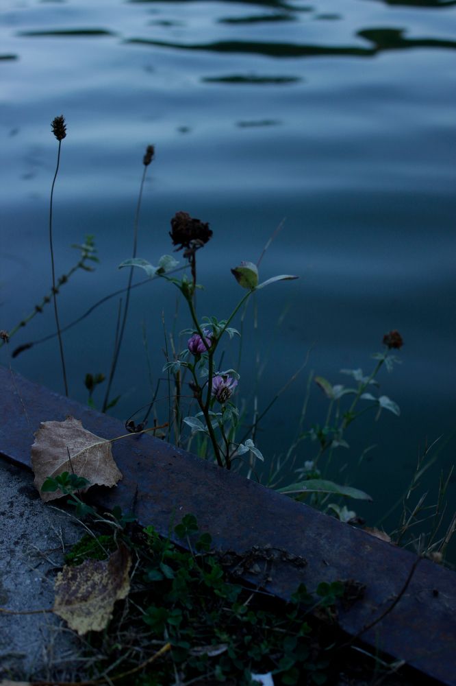 Photograph by Екатерина Дёмина