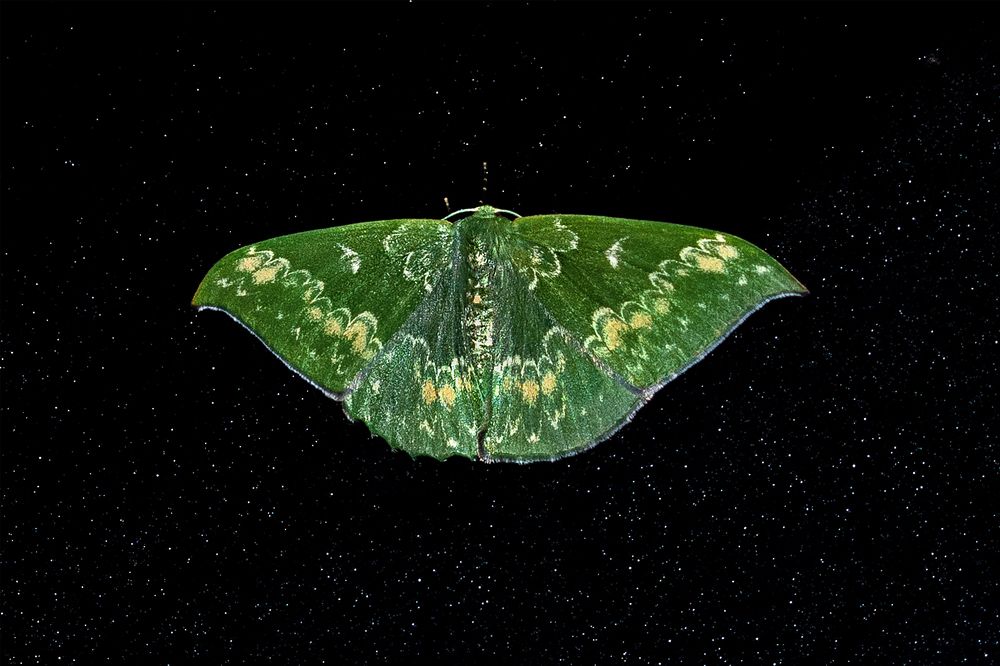 Photograph by saikat chanda