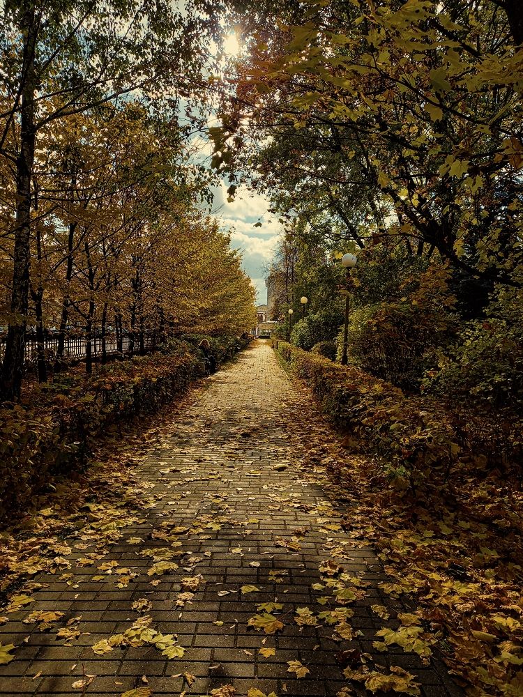 Photograph by Svetlana Yurasova