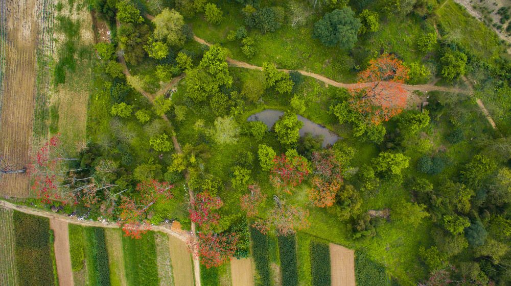 Photograph by Nguyễn Hữu Trung