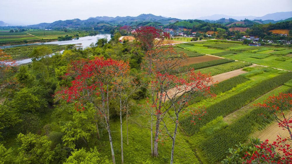 Photograph by Nguyễn Hữu Trung