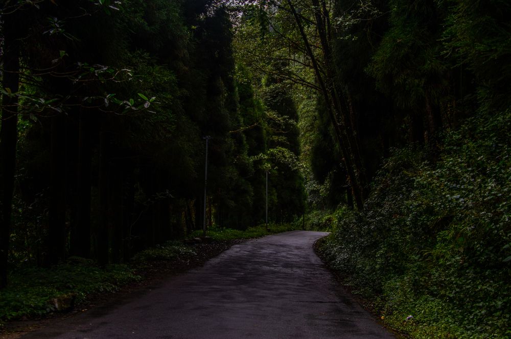 Photograph by Susobhan Biswas