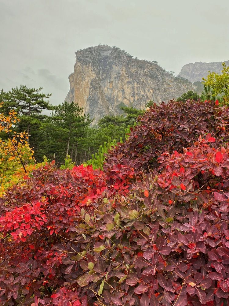 Фотография автора Екатерина Ефанова