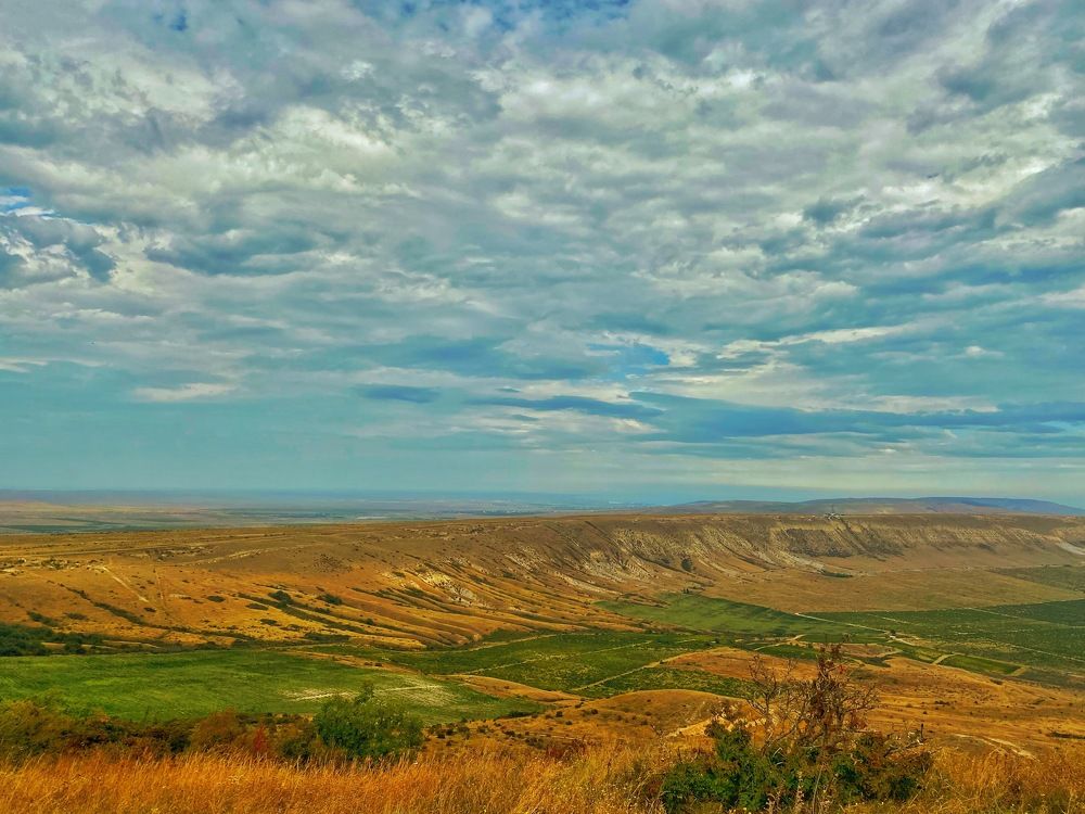 Фотография автора Екатерина Ефанова