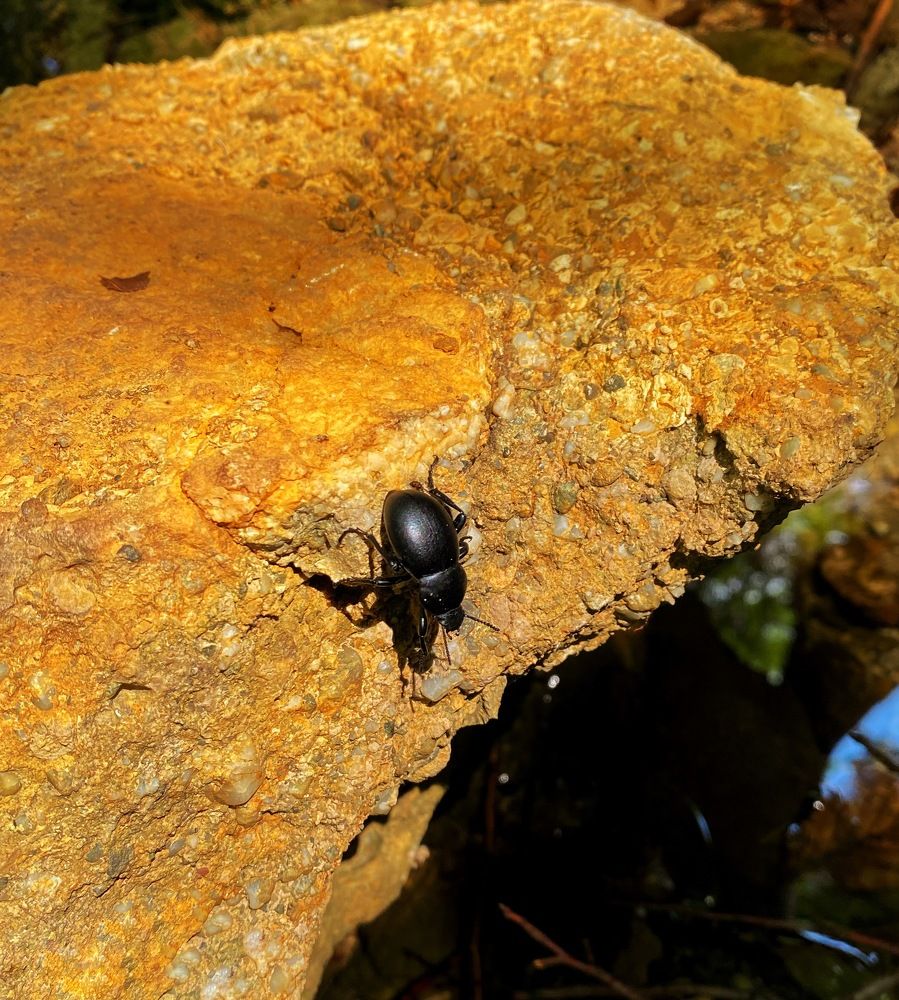 Фотография автора Екатерина Ефанова