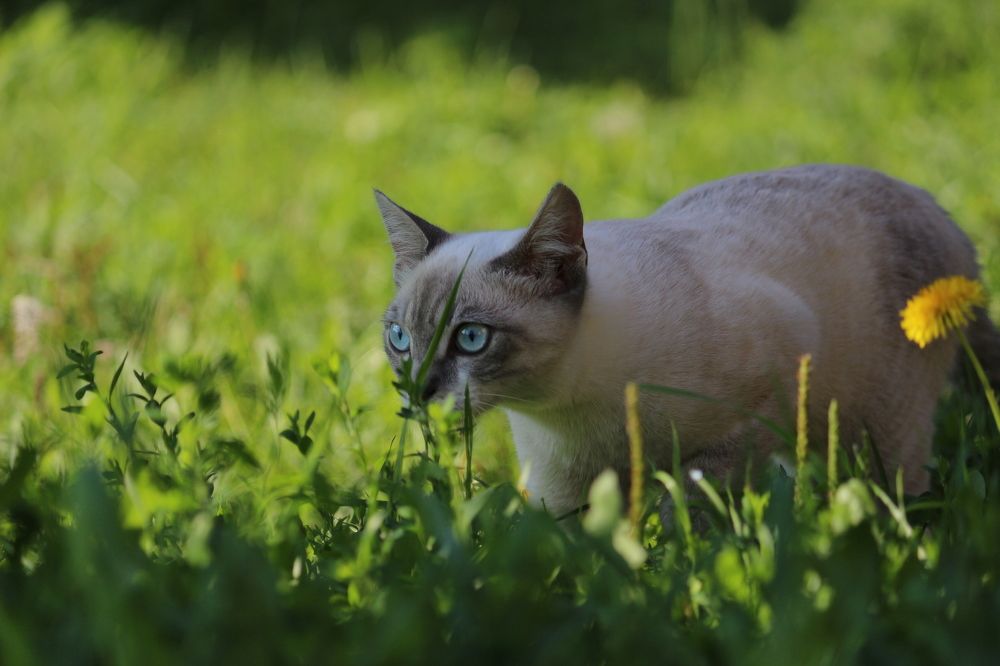 Photograph by Елена Федорова