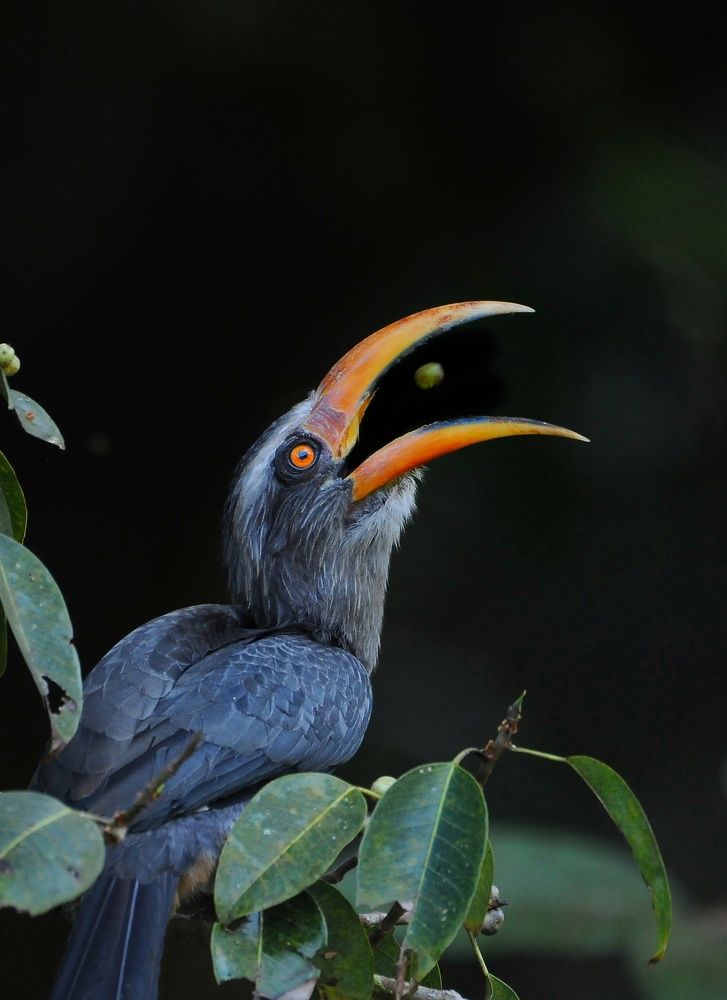 Photograph by George S George