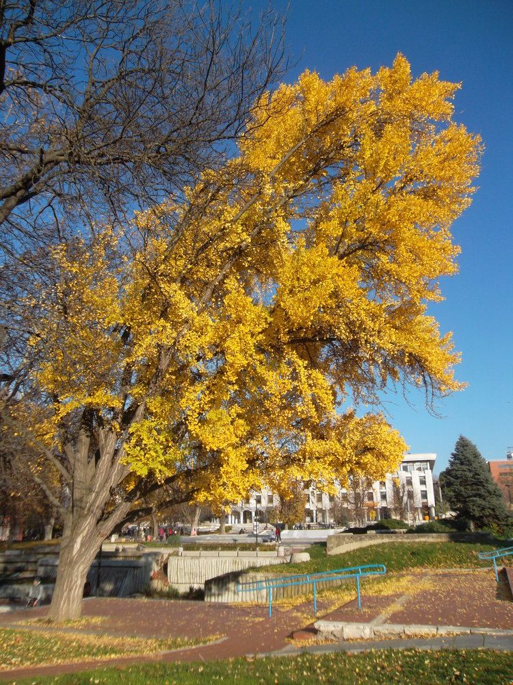 Photograph by Olga Vatkova