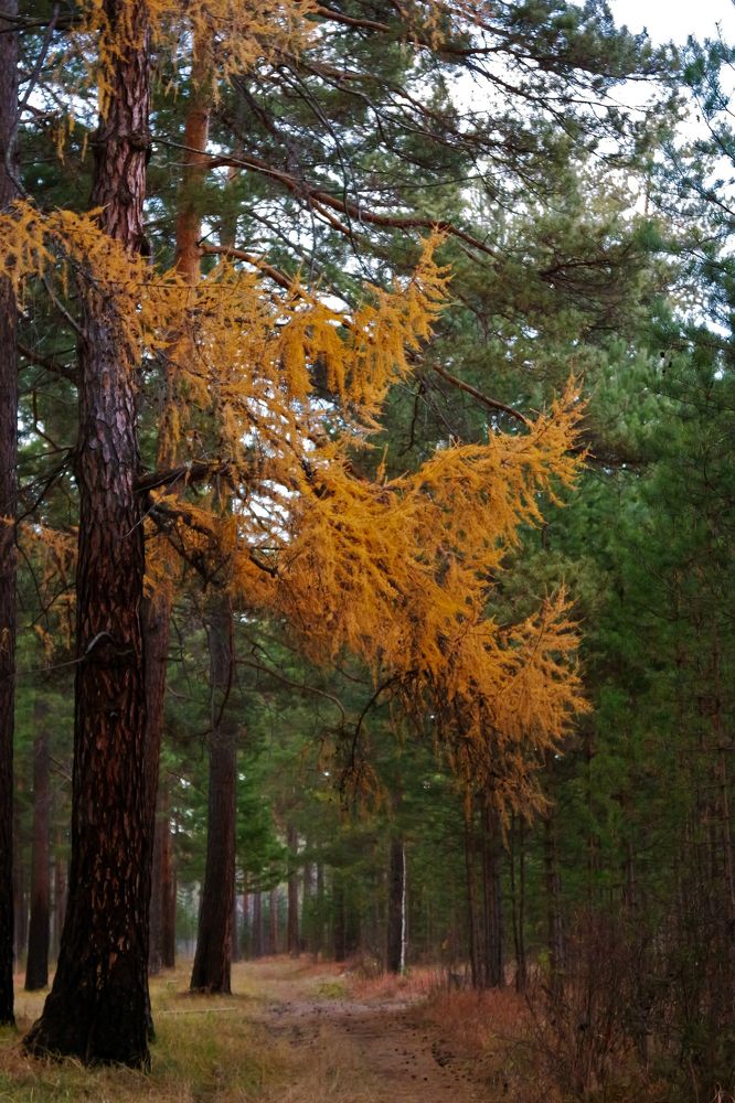 Photograph by Анна Киселёва