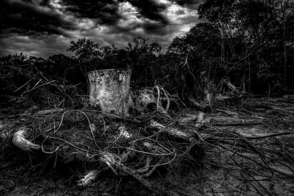 Photograph by Junior Imigrante