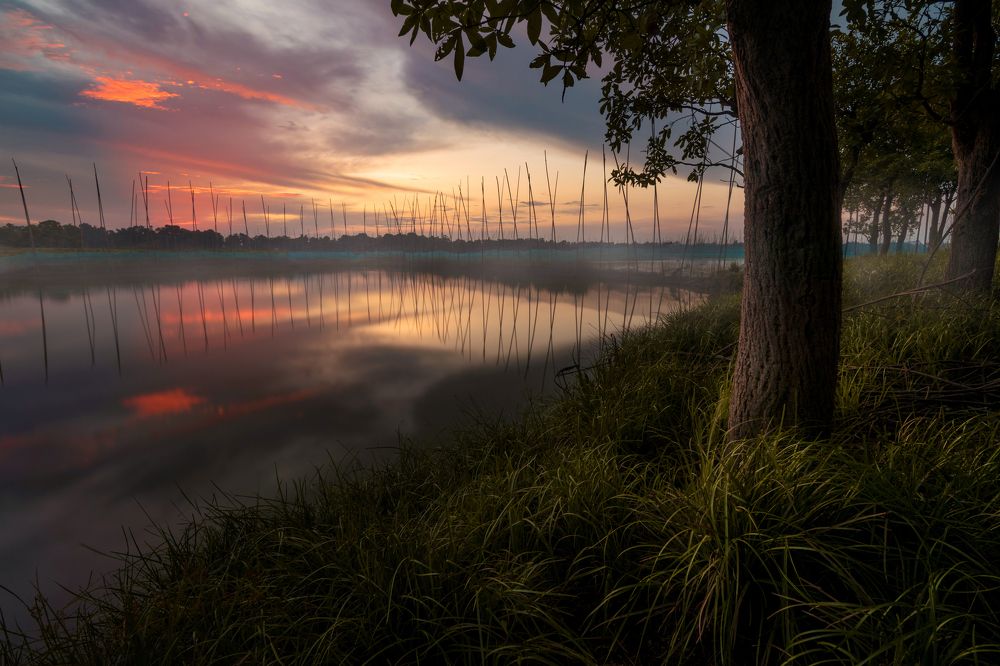 Photograph by Dibyajyoti Nath