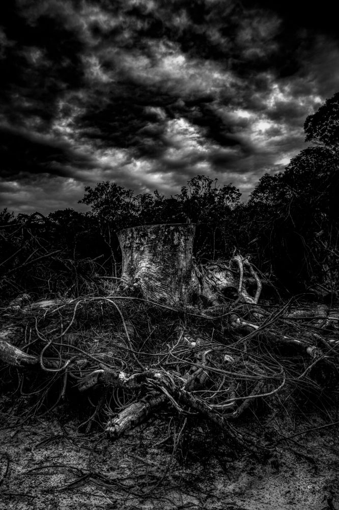 Photograph by Junior Imigrante