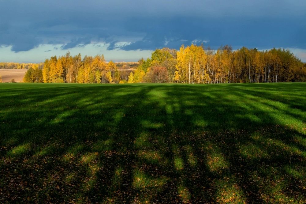 Photograph by Владимир Федин