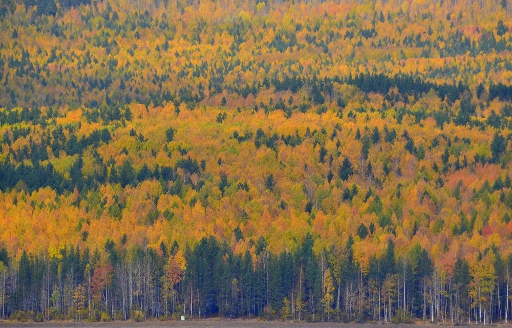 Photograph by Владислав Завальнюк