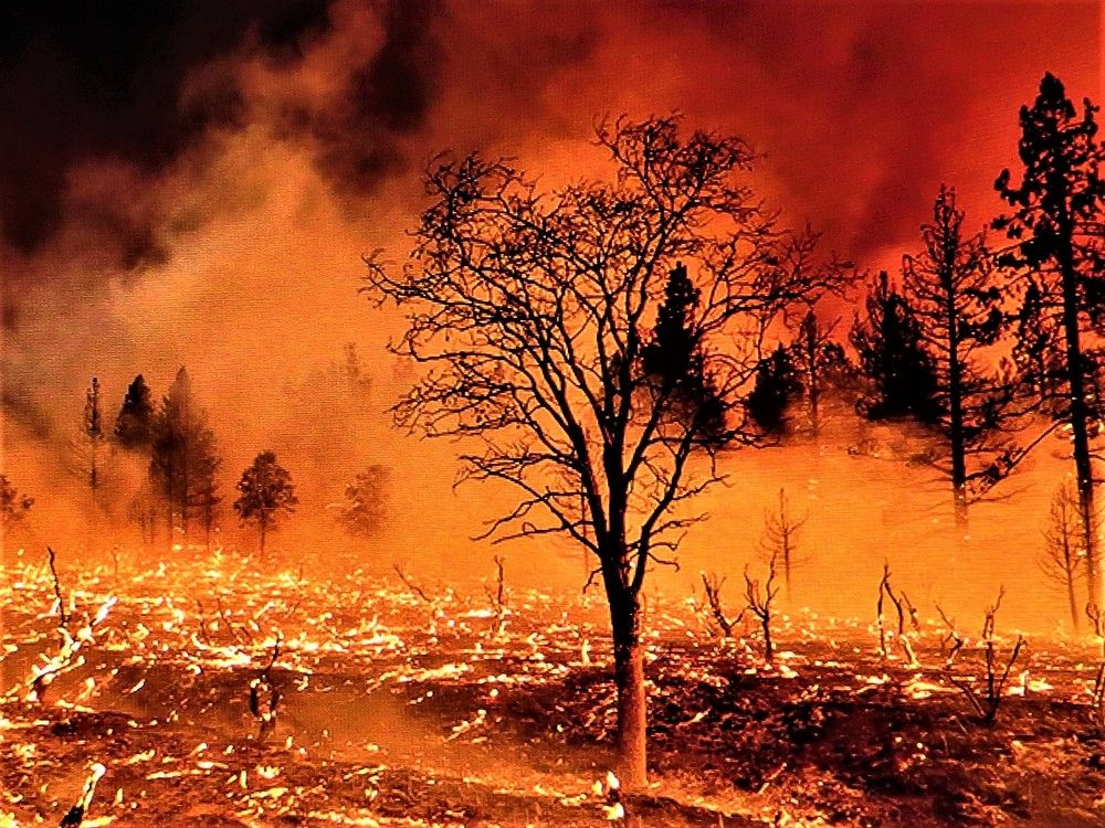 Photograph by Галина