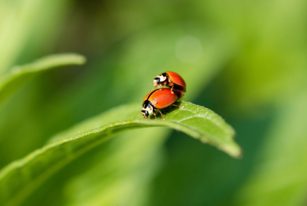 Photograph by Dibyajyoti Nath