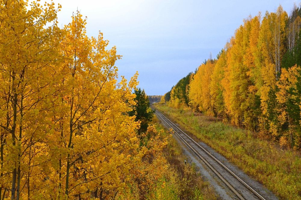 Photograph by Владислав Завальнюк