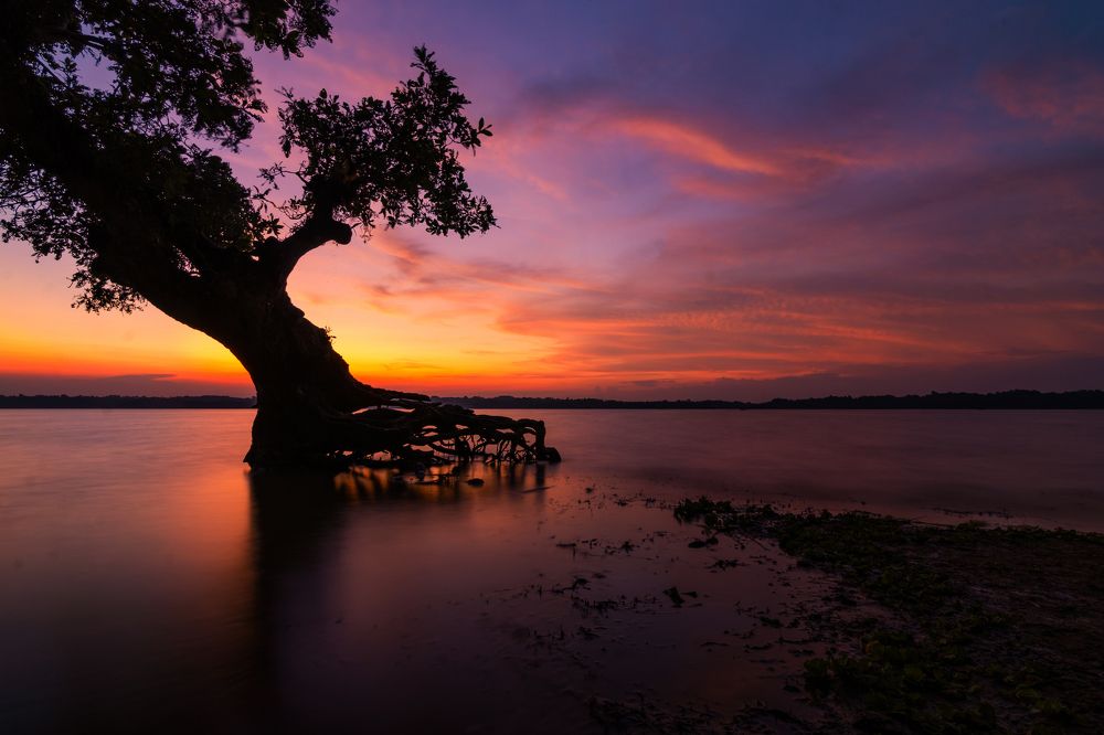 Photograph by Dibyajyoti Nath