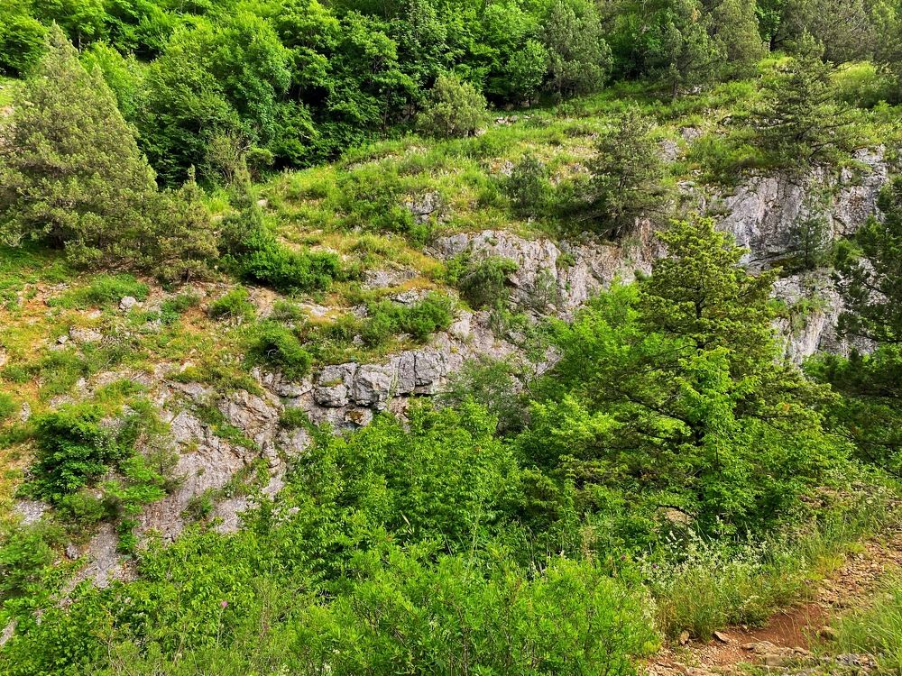 Фотография автора Екатерина Ефанова