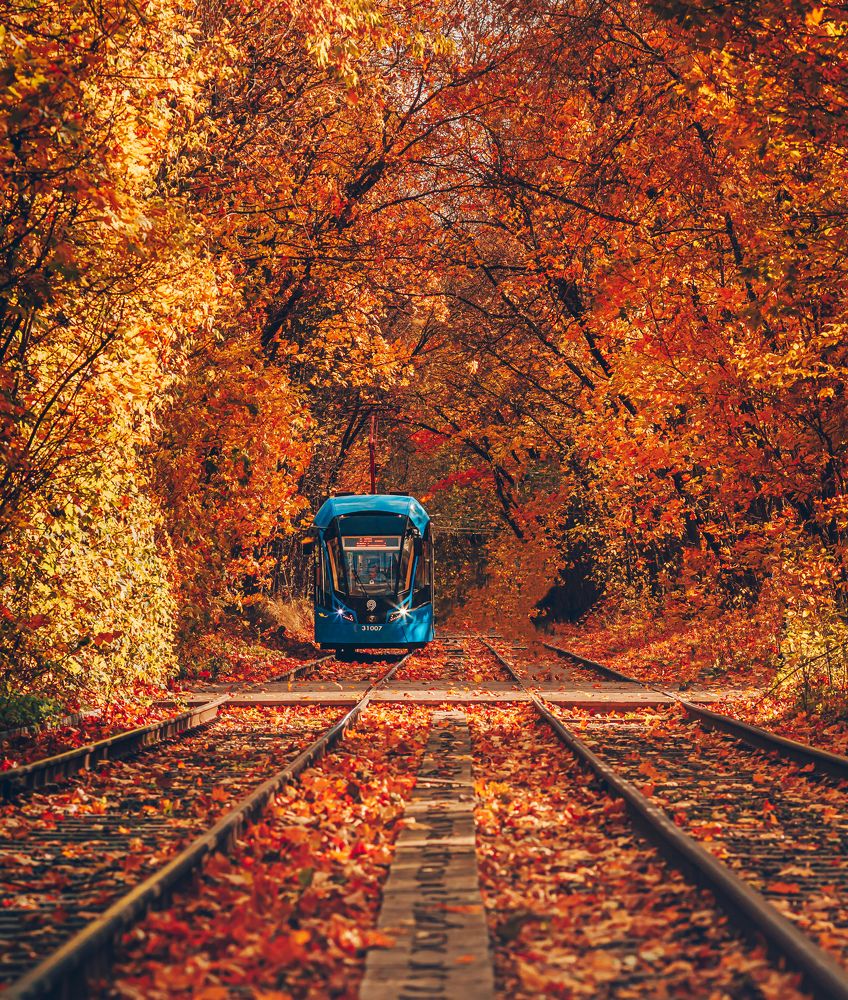 Фотография автора Rom@shkin