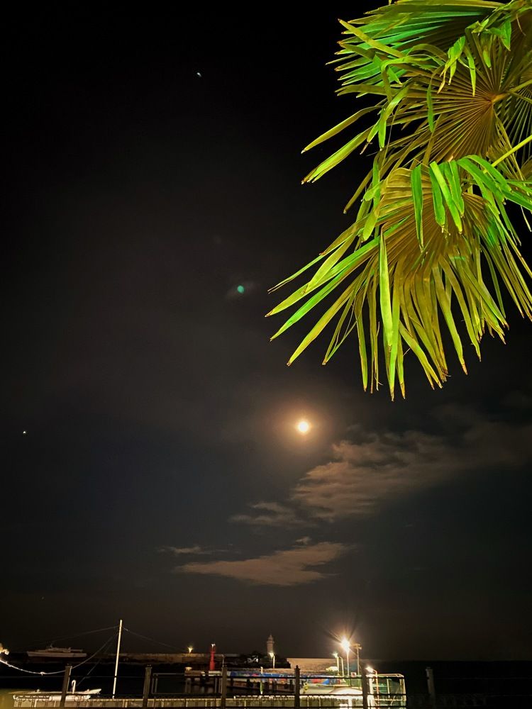 Фотография автора Екатерина Ефанова