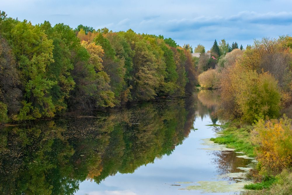 Фотография автора Александр Дюльгер
