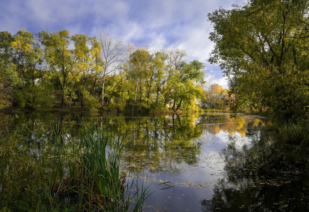 Фотография автора Александр Дюльгер