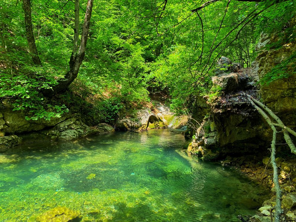 Фотография автора Екатерина Ефанова