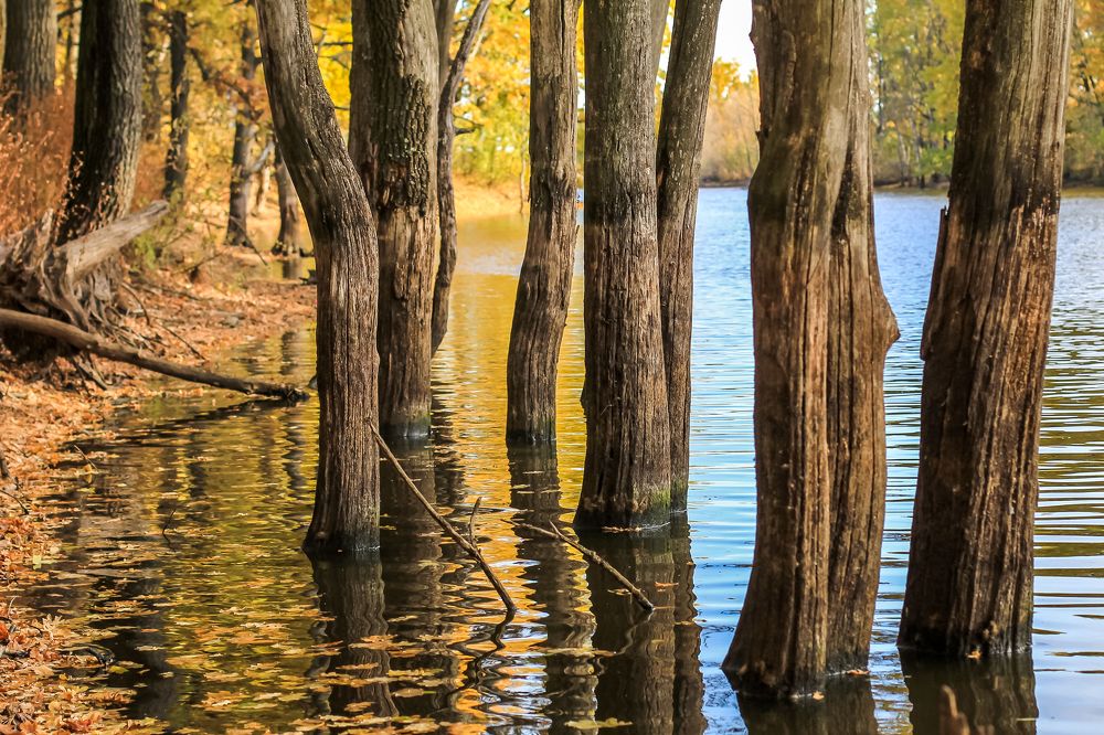 Photograph by Александр Карасев