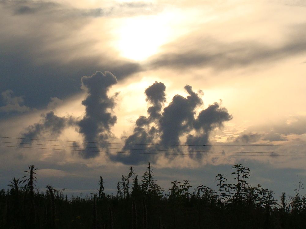 Photograph by Николай Худяков