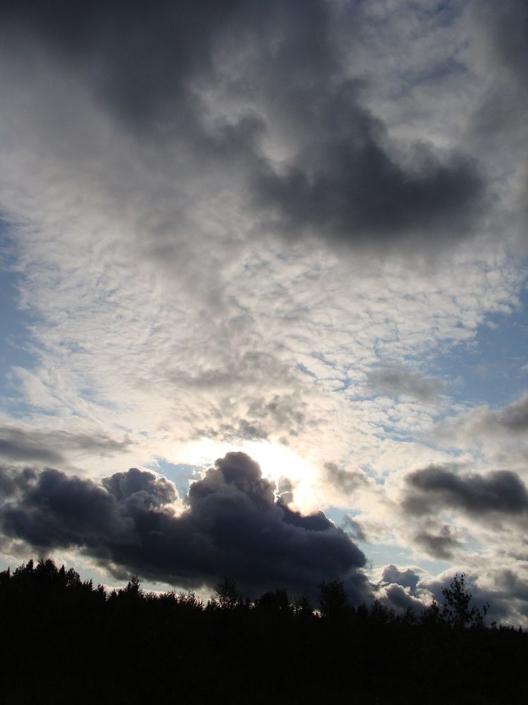 Photograph by Николай Худяков