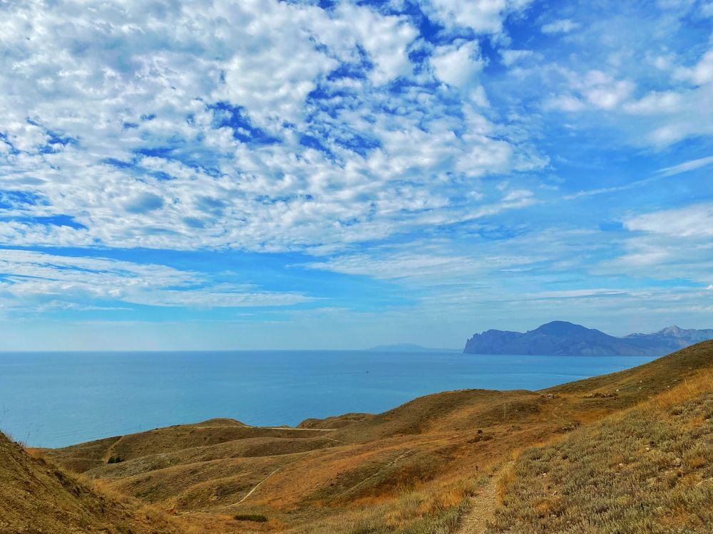 Фотография автора Екатерина Ефанова