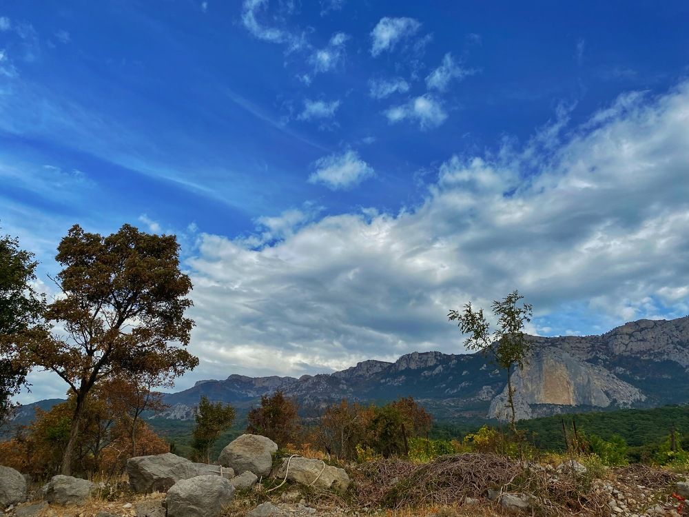 Фотография автора Екатерина Ефанова