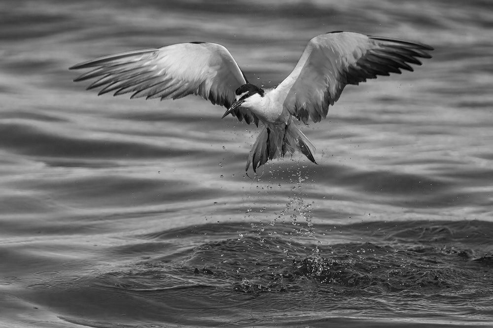 Photograph by Benny Chan