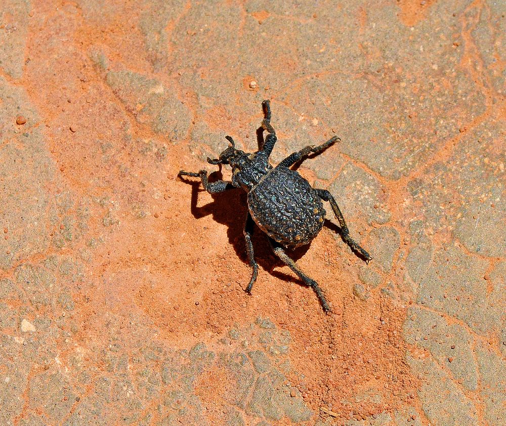 Photograph by Алексей