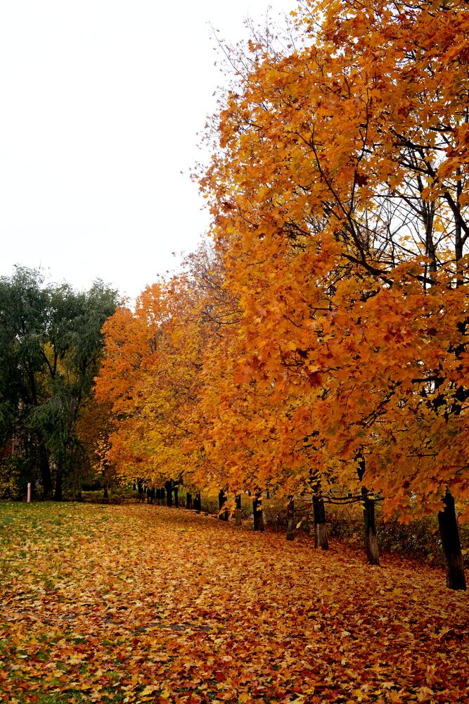 Photograph by Алексей Козлов