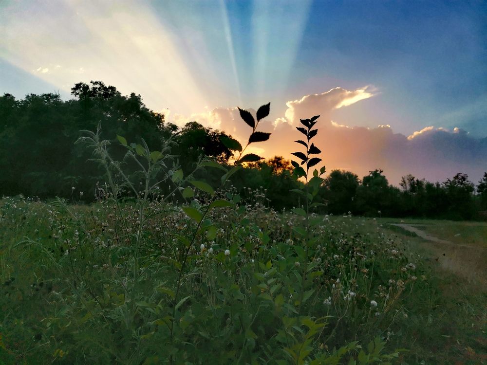 Фотография автора OXANA MARSOVA