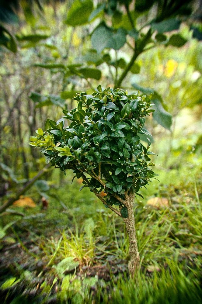 Photograph by Ольга Мальцева