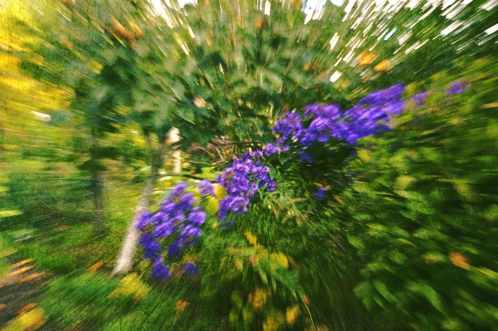 Photograph by Ольга Мальцева