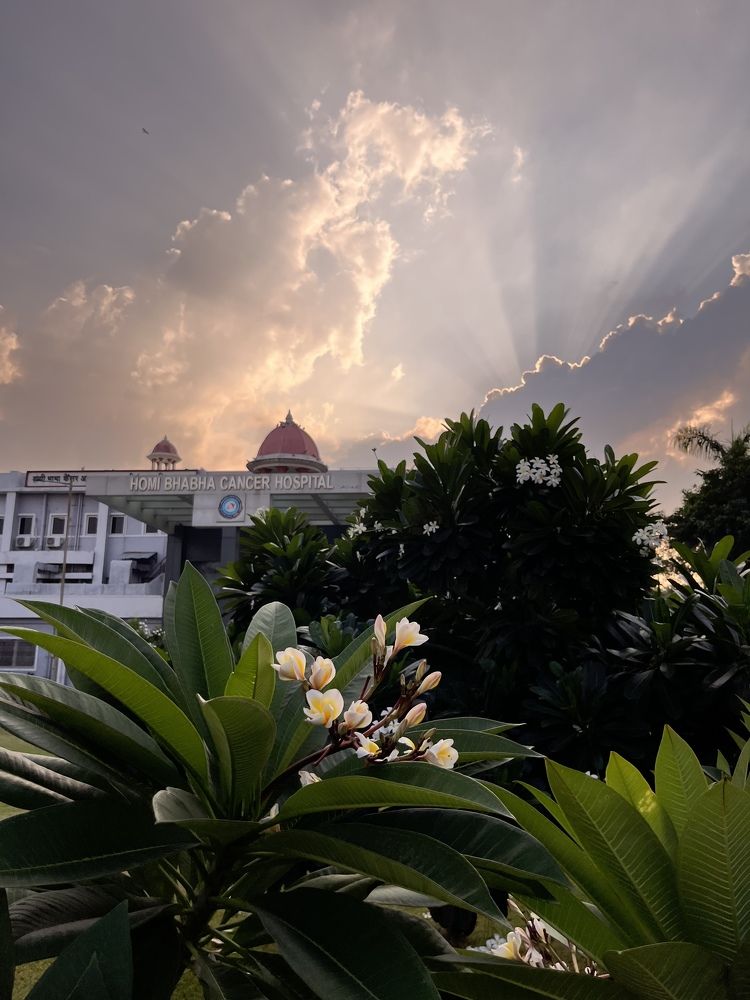 Фотография автора SHREYA SHUKLA