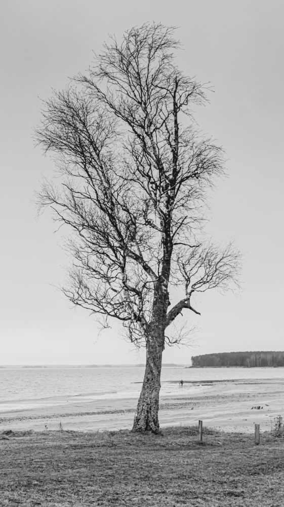 Photograph by Илья Ровинский