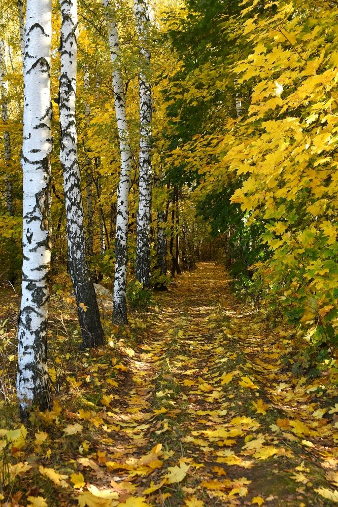 Photograph by Егор Колягин