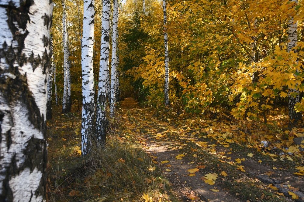 Photograph by Егор Колягин