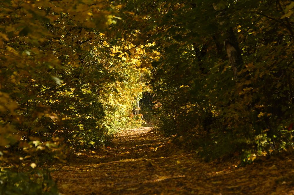 Photograph by Егор Колягин