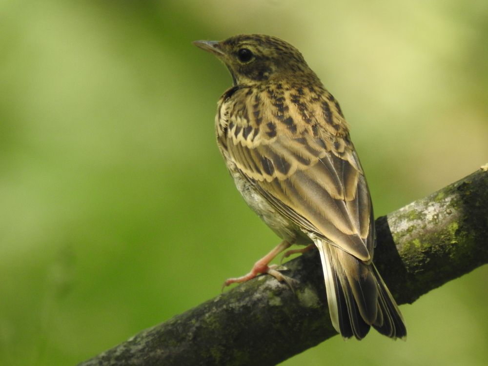 Photograph by Георгий Салюков