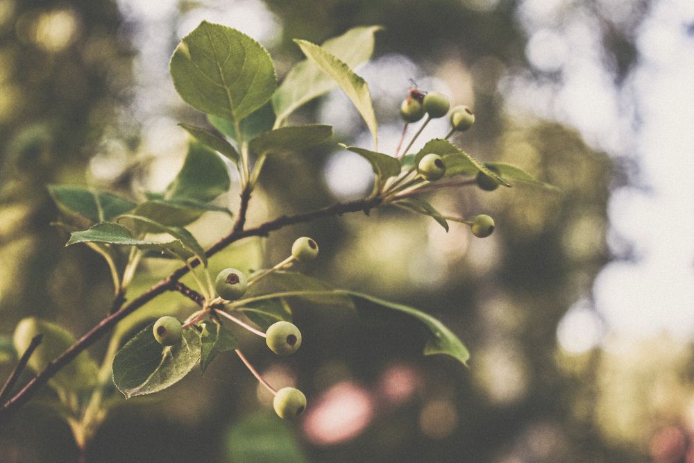 Photograph by Ольга Пономарева