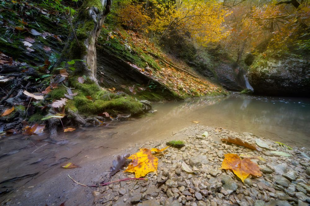 Photograph by Alexander Ornatskiy