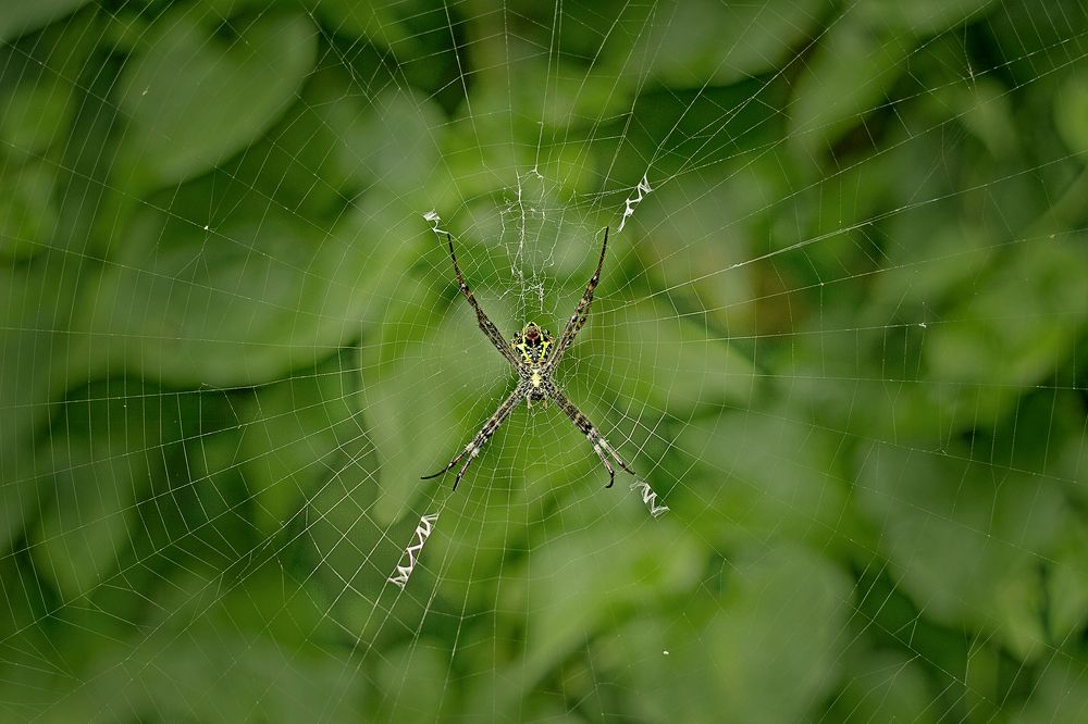 Photograph by Avik Sarkar